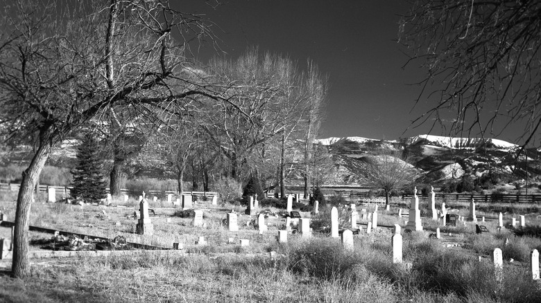 Tombstones in the Spring City Cemetery