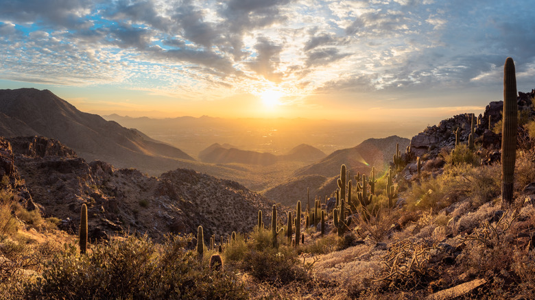 The McDowell Sonoran Preserve overlooking Scottsdale, Arizona, during a beautiful sunset