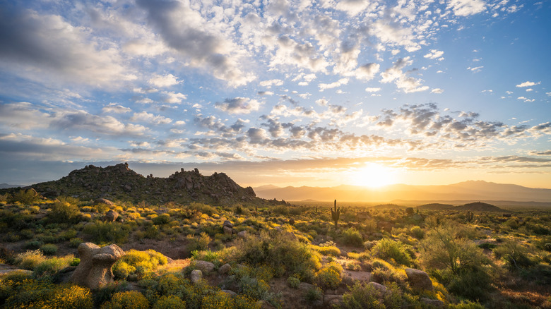 Fantastic sunrise illuminates the Sonoran Desert landscape of the McDowell Sonoran Preserve