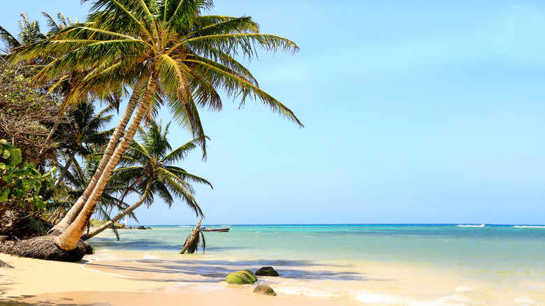 Little Corn Island in Nicaragua