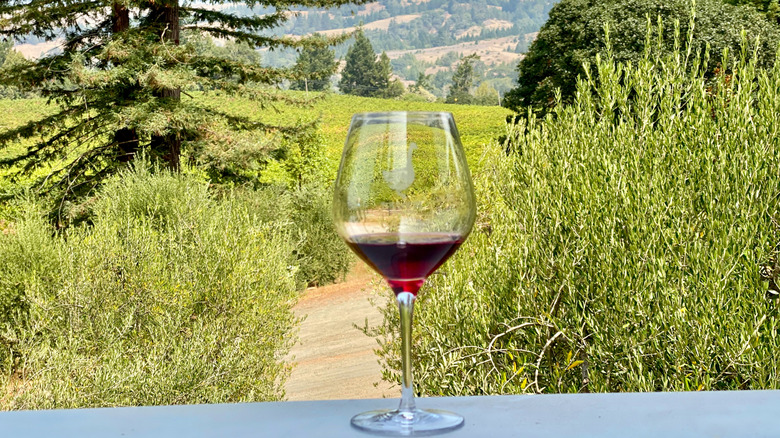 A glass of red wine on a table at a vineyard in Anderson Valley
