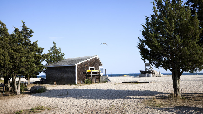a beach house at orient beach state park with cedar trees
