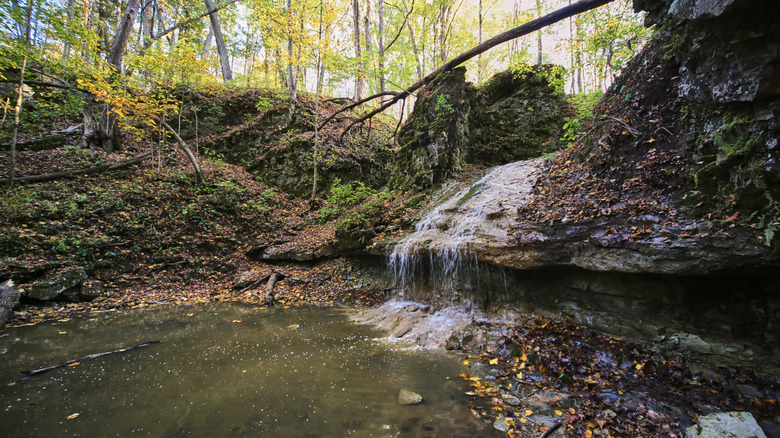 Waterfall in the woods at Salamonie River State Forest