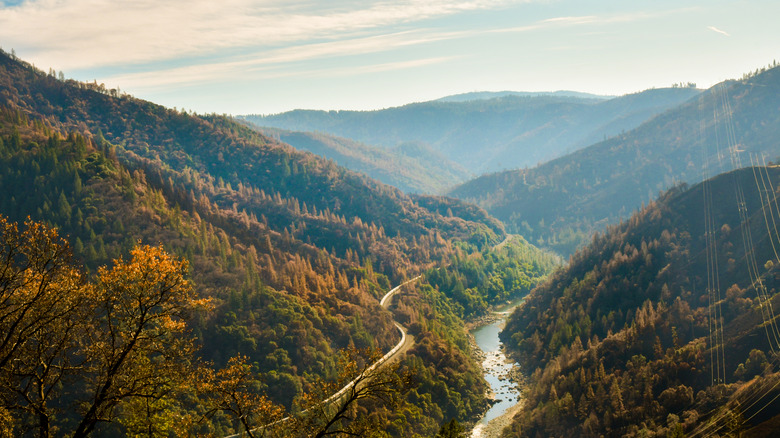 Forests roll down the sides of mountains in the Feather River Canyon of Plumas County