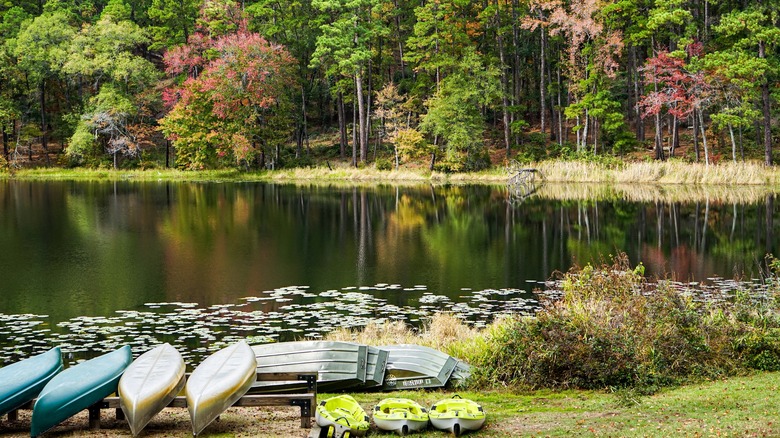 Kayaks in Daingerfield State Park
