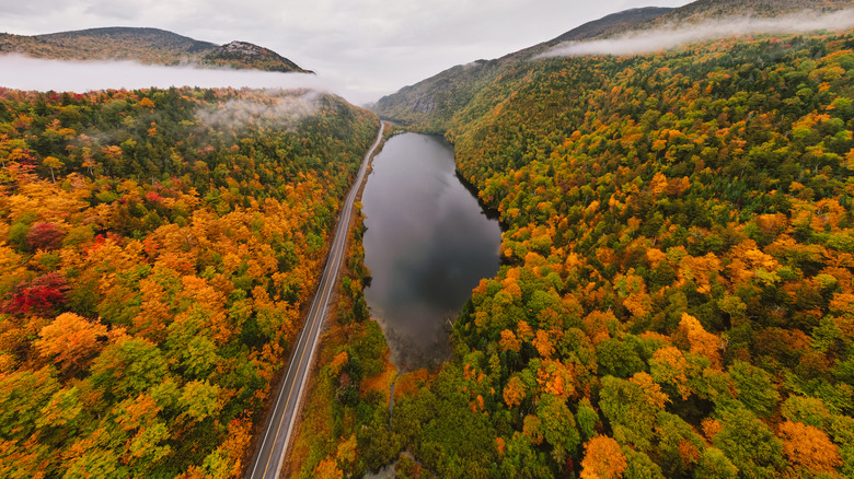 Autumn leaves in the Adirondacks