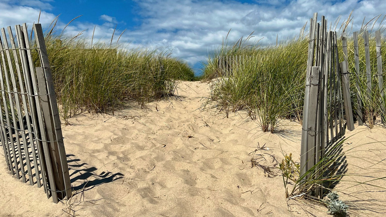 Sandy path leading to Atlantic Avenue Beach in Amagansett, New York