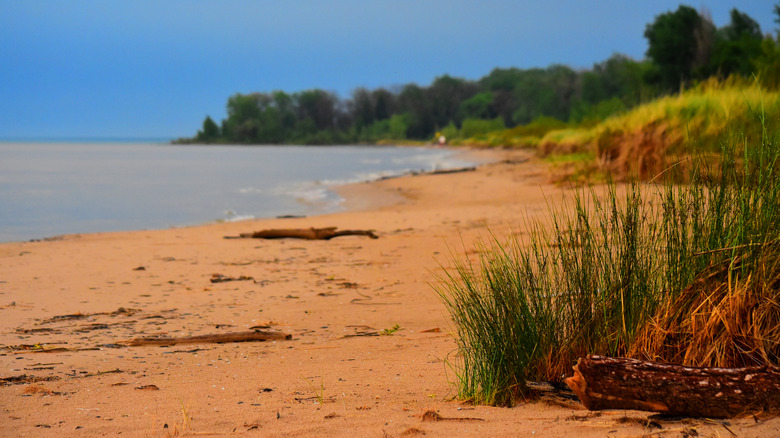Sands of Ipperwash Beach, Ontario