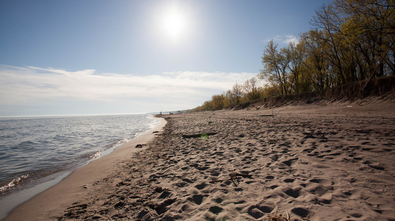 Long Point Provincial Park beach