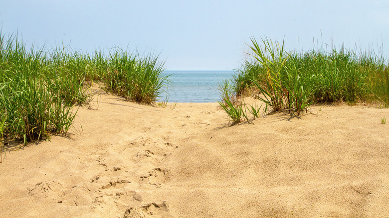 Lake Erie beach