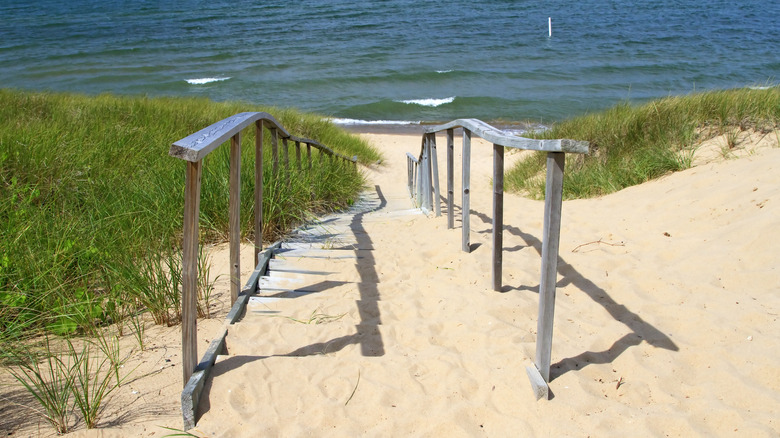 Path to Oval Beach, Saugatuck