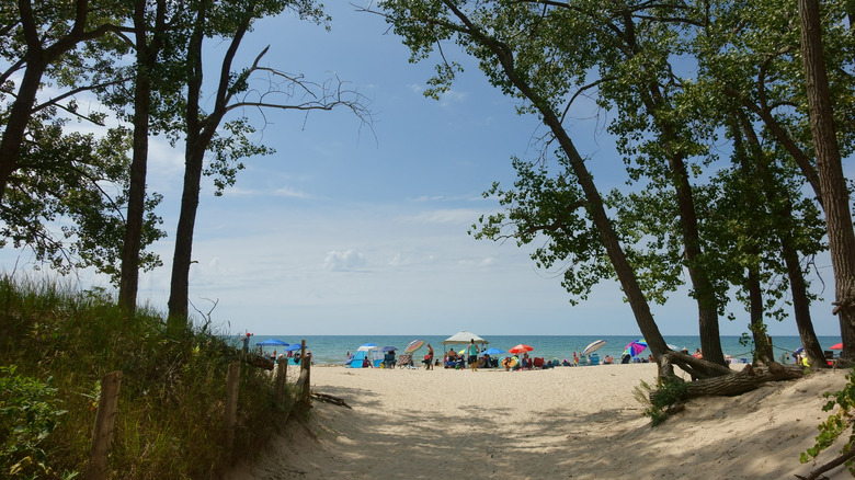 Sandbanks Provincial Park beach