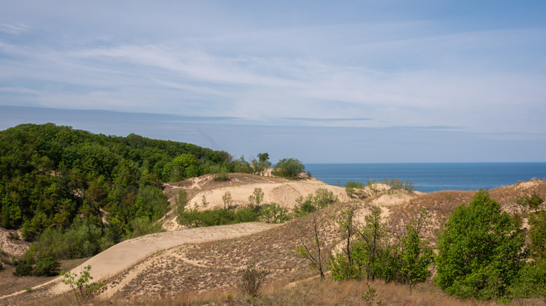 Warren Dunes State Park dunes