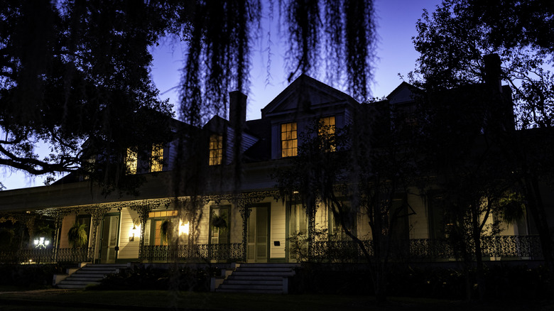 Building covered by tree fronds in the darkness