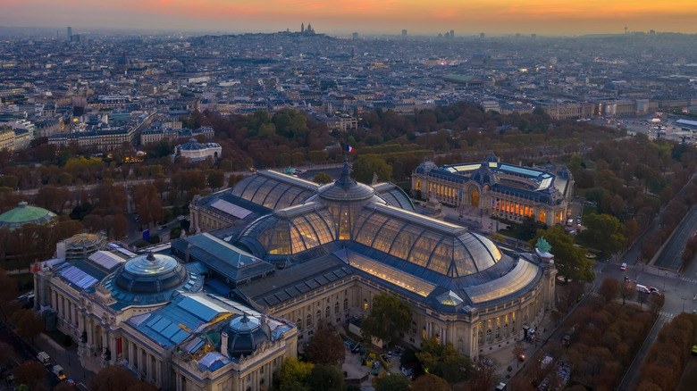 An aerial view of the rooftops of the Grand Palais and the Petit Palais