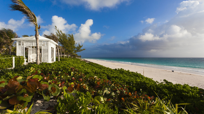 The white sand French Leave beach in Governor's Harbour in the Bahamas