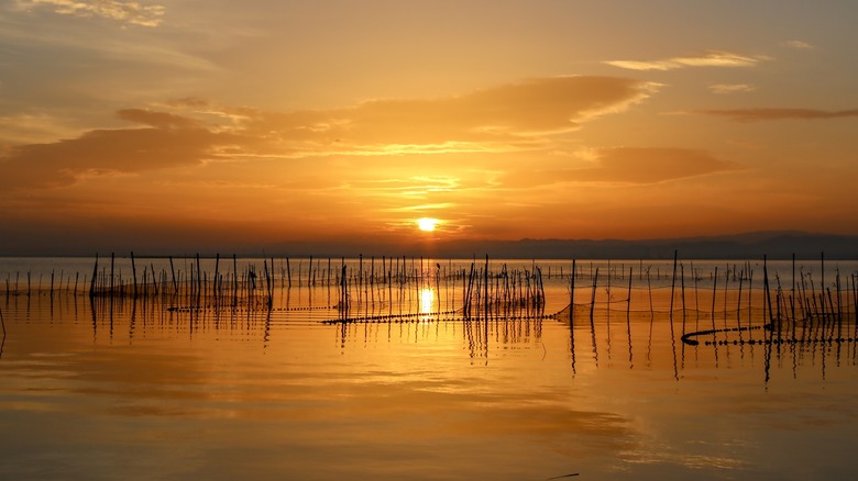 sunset on the lagoon at Albufera Natural Park