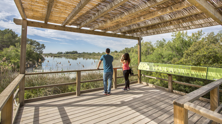 visitors look at lagoon from a birding observation deck