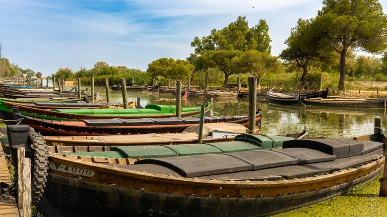 wooden fishing boats docked at Albufera Natural Park