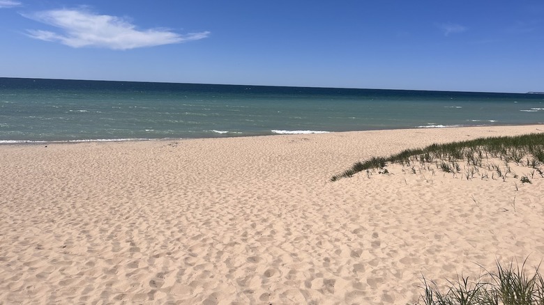 A view of the sand at Esch Road Beach