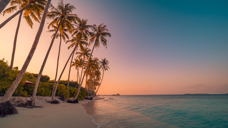 Beauitful Caribbean beach at sunset