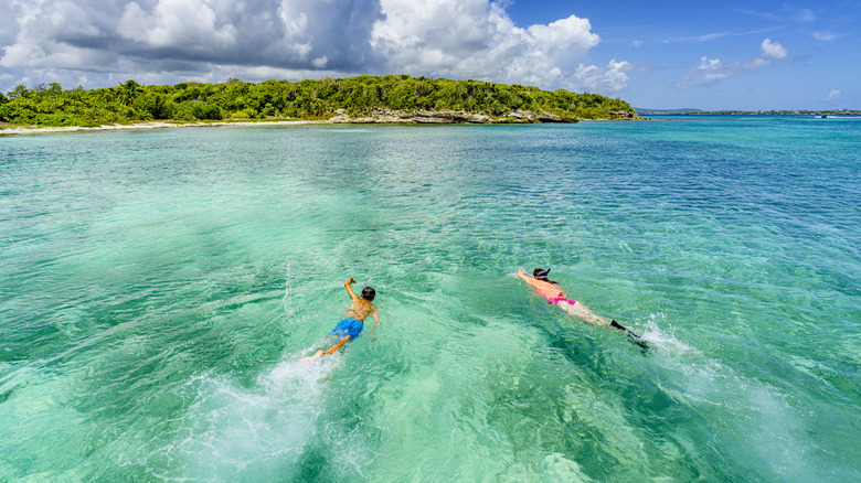 snorkeling and swimming in Antigua