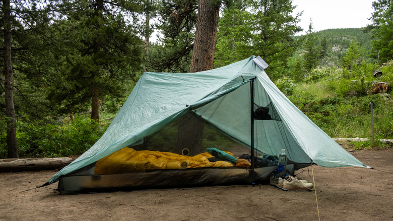 tent on dirt campsite with green forest in background
