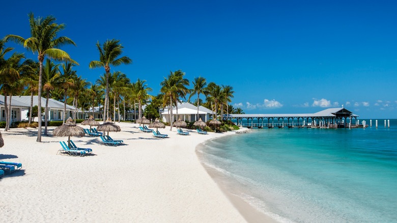 View of the beach and boat dock on Sunset Key