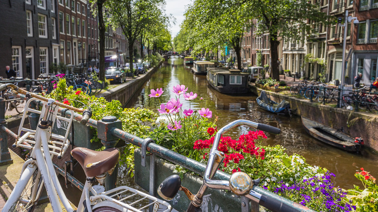 Amsterdam canal with flowers and bike