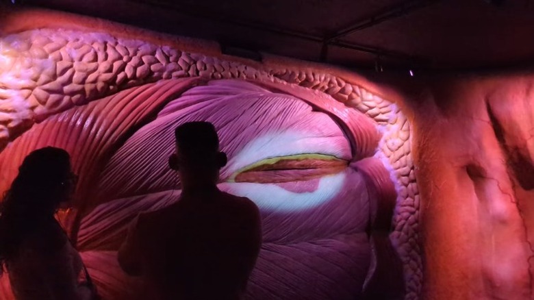 Visitors inside CORPUS museum