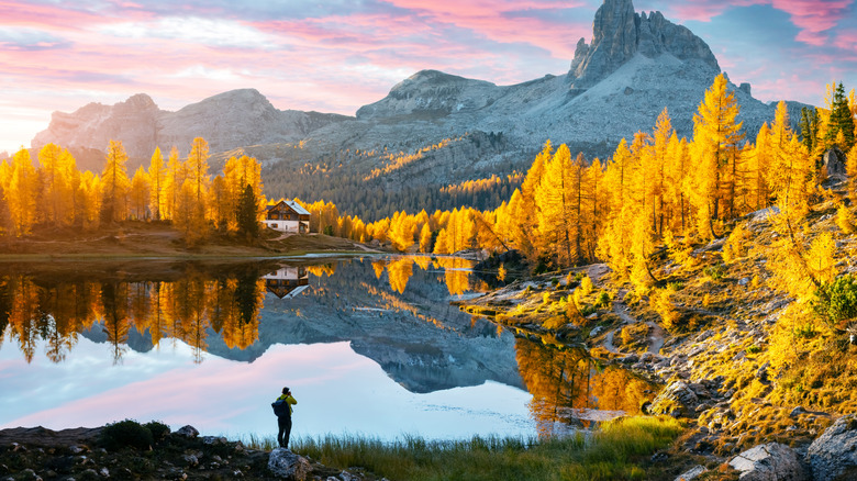 Federa Lake and bright orange larches in autumn in the Dolomites, Cortina D'Ampezzo, South Tyrol, Italy