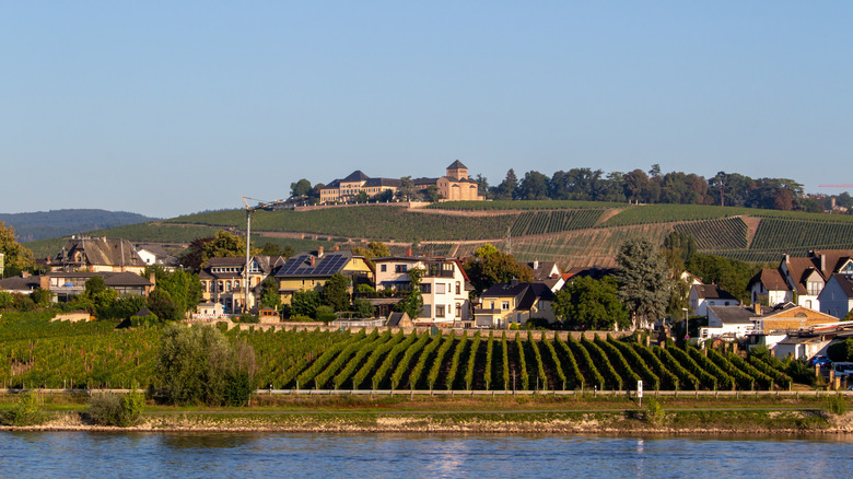Distant view of of Schloss Johannisberg