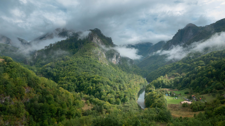 View of the Tara Canyon from the Đurđevića Tara Bridge in Montenegro