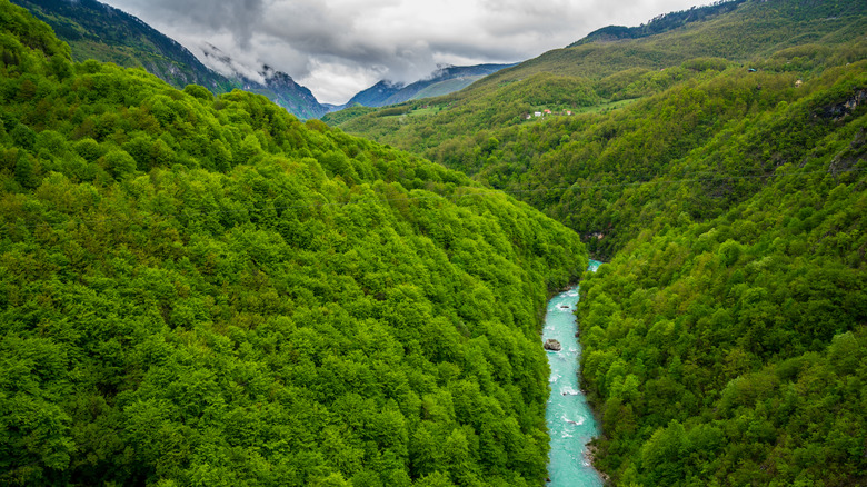 The turquoise waters of Tara River flowing through majestic green Tara Canyon, Montenegro