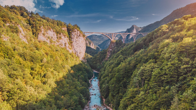 Durdevica Tara Bridge connecting mountains across the Tara River Canyon, a renowned natural landmark in Montenegro
