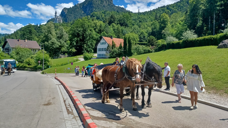 horses pulling a carriage in bavaria