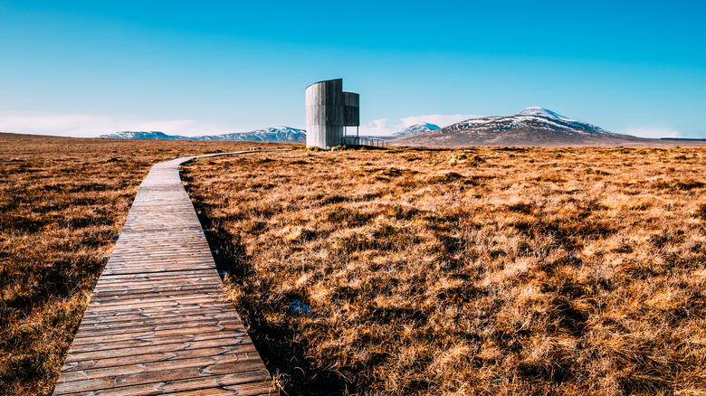 Lookout tower and walkway through peatland in Scotland