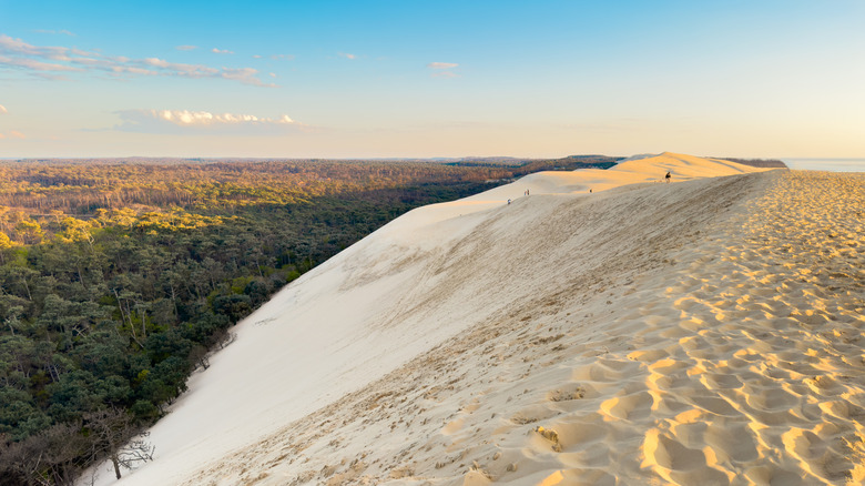 View of Dune du Pilat from the top