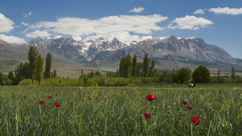 Aladağlar range and apline meadow below