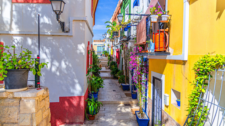 Narrow streets lined with colorful buildings and plant pots
