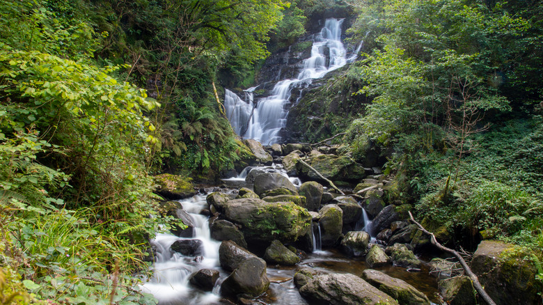 The beautiful Torc Waterfall and the forest in the Killarney National Park