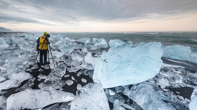 Photographer at Diamond Beach, icebergs at the black lava beach