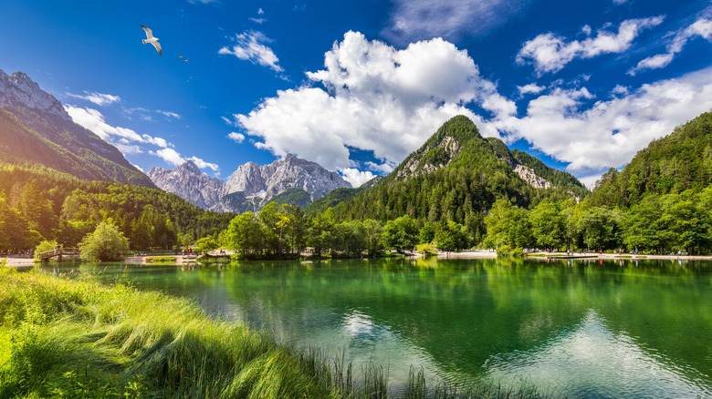Mountain lake landscape in Krajsnka Gora, Slovenia