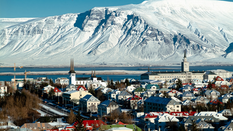 Reykjavic skyline from above with snowy mountains in the background