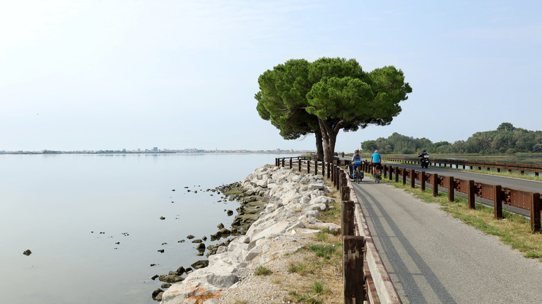 Italian section of Alpe Adria trail with view of Adriatic sea
