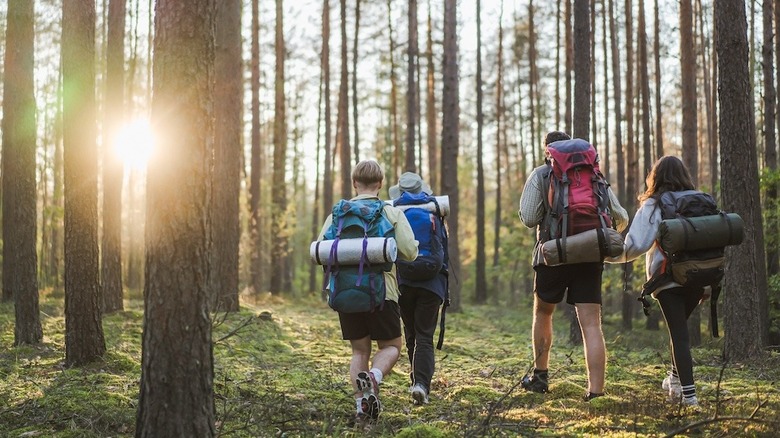 People hiking in Aukštaitija National Park in Lithuania