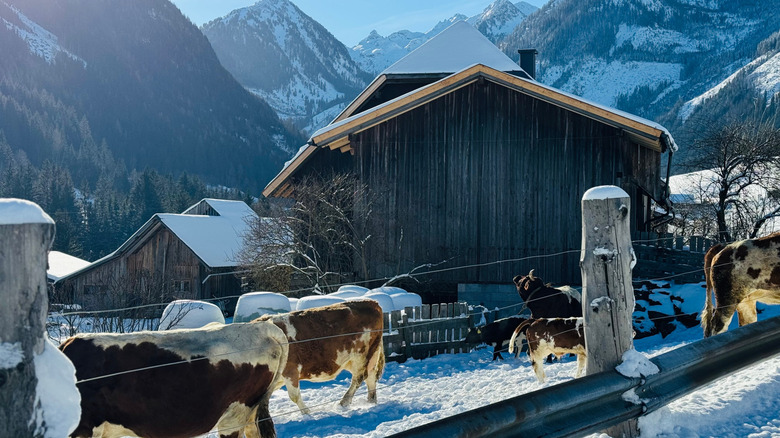 Traditional mountain buildings in the town of Schladming, Austria