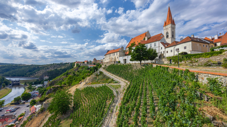 The red roofs and whitewashed walls of a Czech village crown a vineyard-covered hill in Moravia