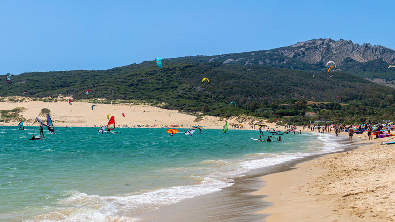 A beach filled with windsurfers and kitesurfers in Tarifa, Spain