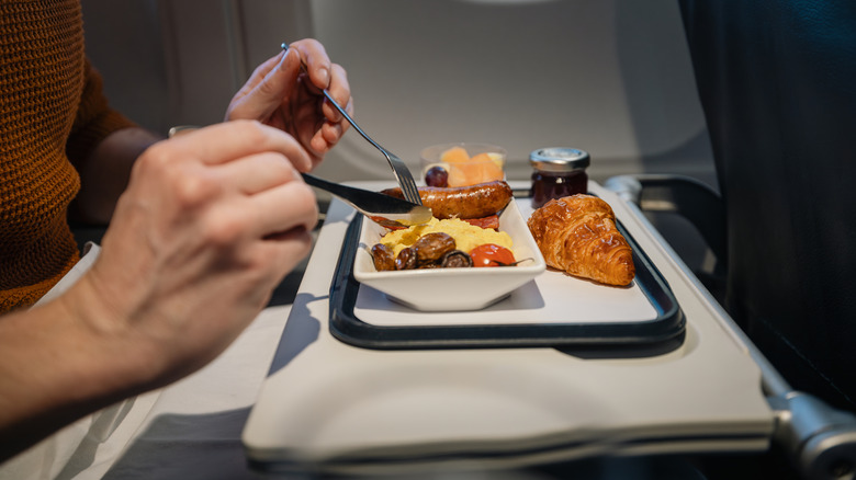 Someone having an in-flight meal